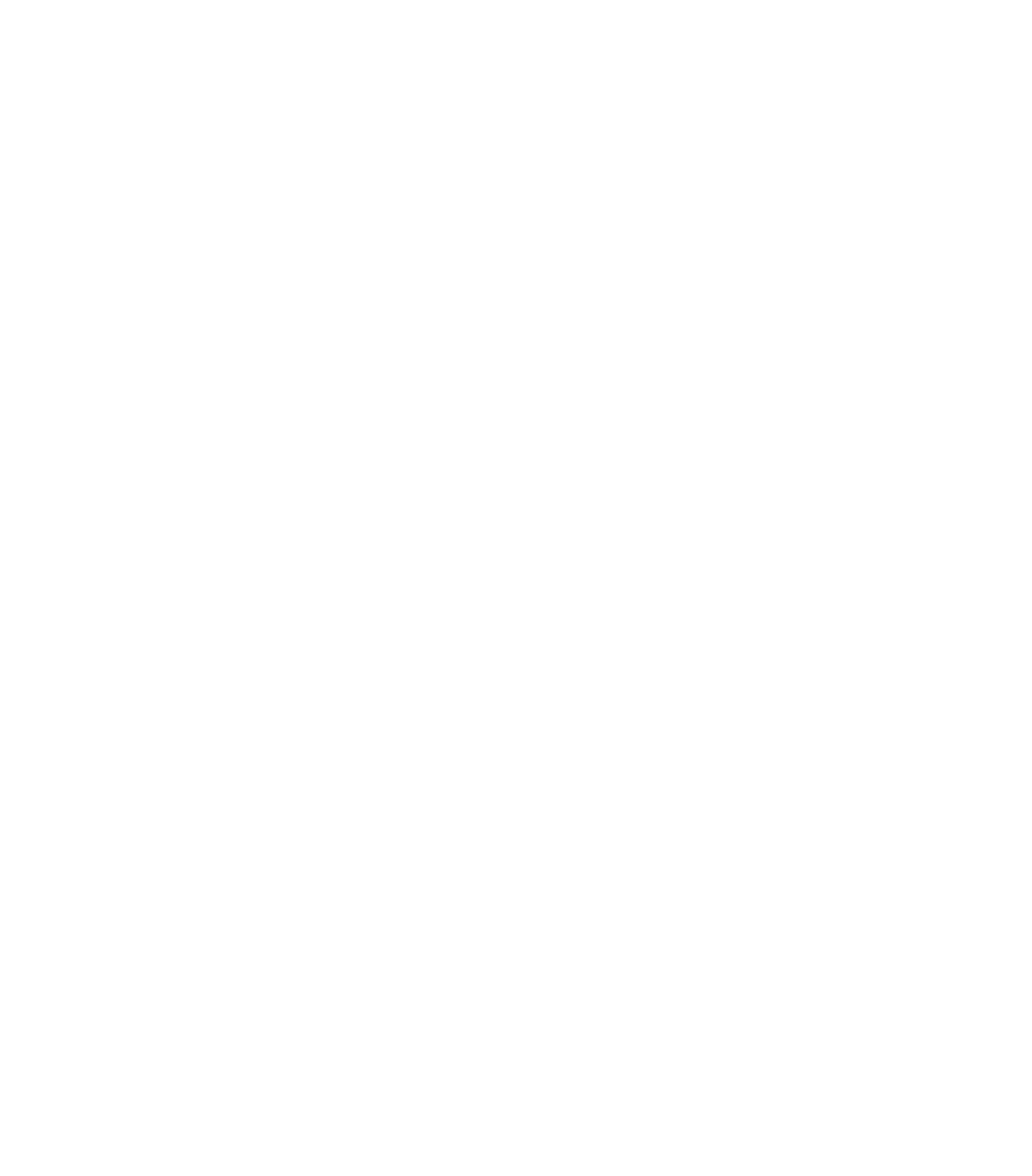 RURALIZATION - Logo_blanco