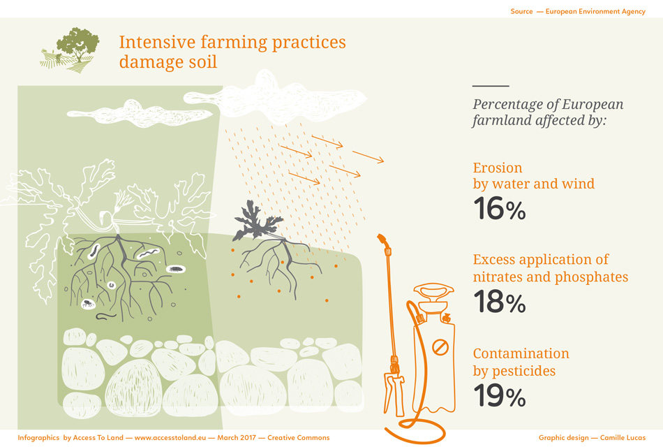 Info 2: Intensive farming practices damage farmland