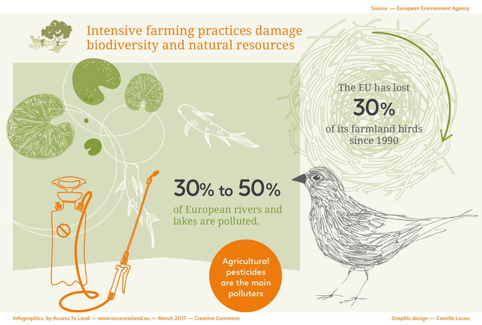 Info 3: Intensive farming practices damage natural resources