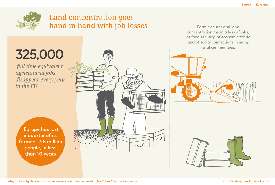 Info 8: Land concentration goes hand in hand with job losses